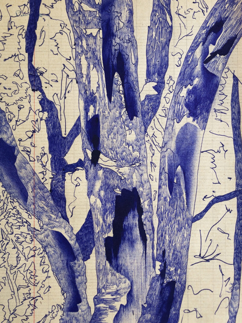 dessin stylo à bille bleu sur papier ancien